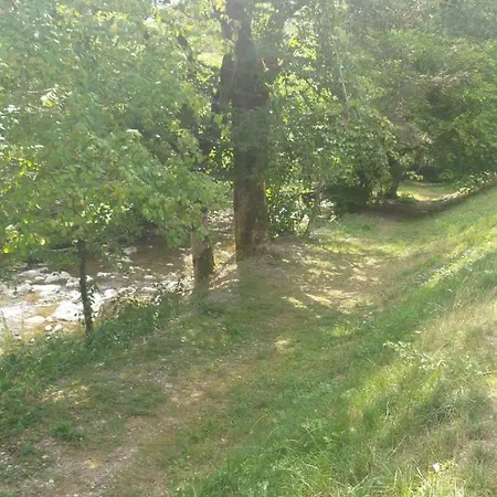营地 Camping Le Lachat *